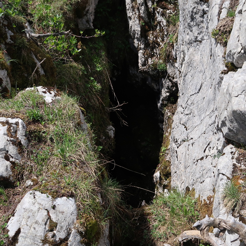 Cape au Moine des Verraux, randonnée d'été en dessus d'Allières dans le